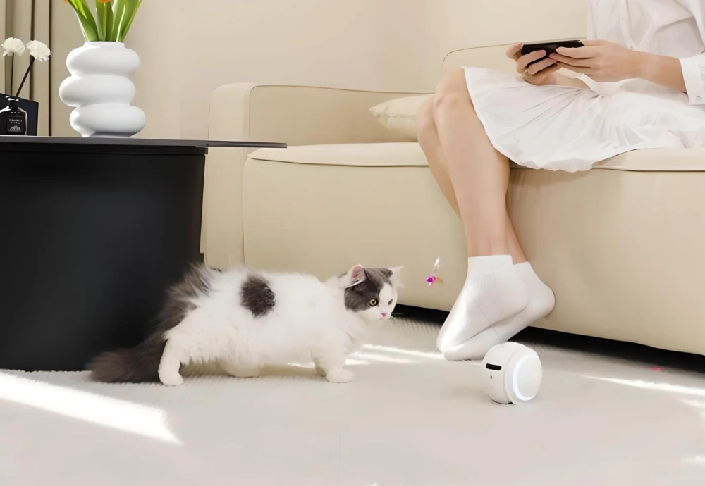 portable pet camera